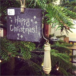 Christmas Tree and Decoration